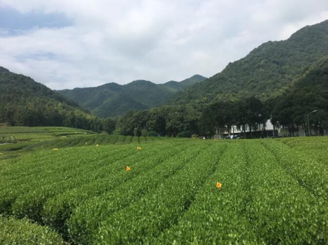 清晖杭州团建地点