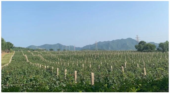 清晖2021北京团建